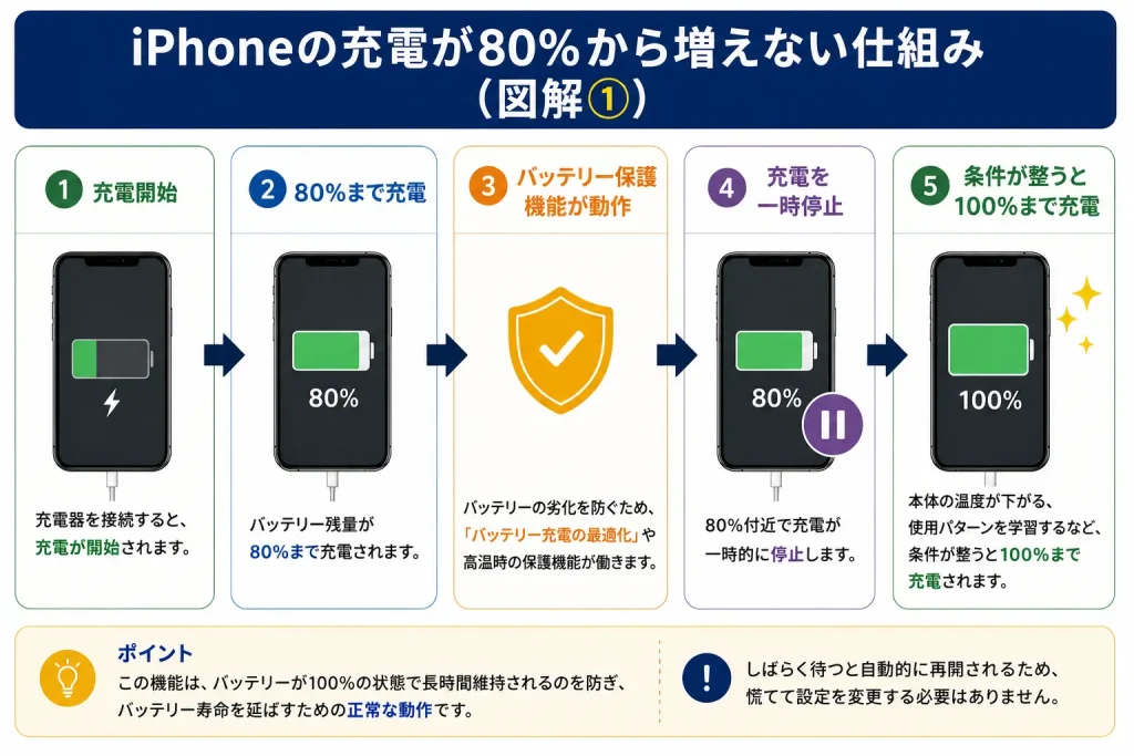 図解① iPhoneの充電が80%から増えない仕組み